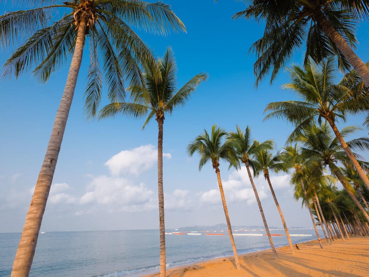 Dusit Grand Park Daire Jomtien Beach Dış mekan fotoğraf